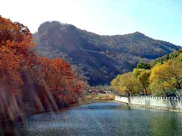 新澳天天开奖资料大全旅游团，中国传媒网